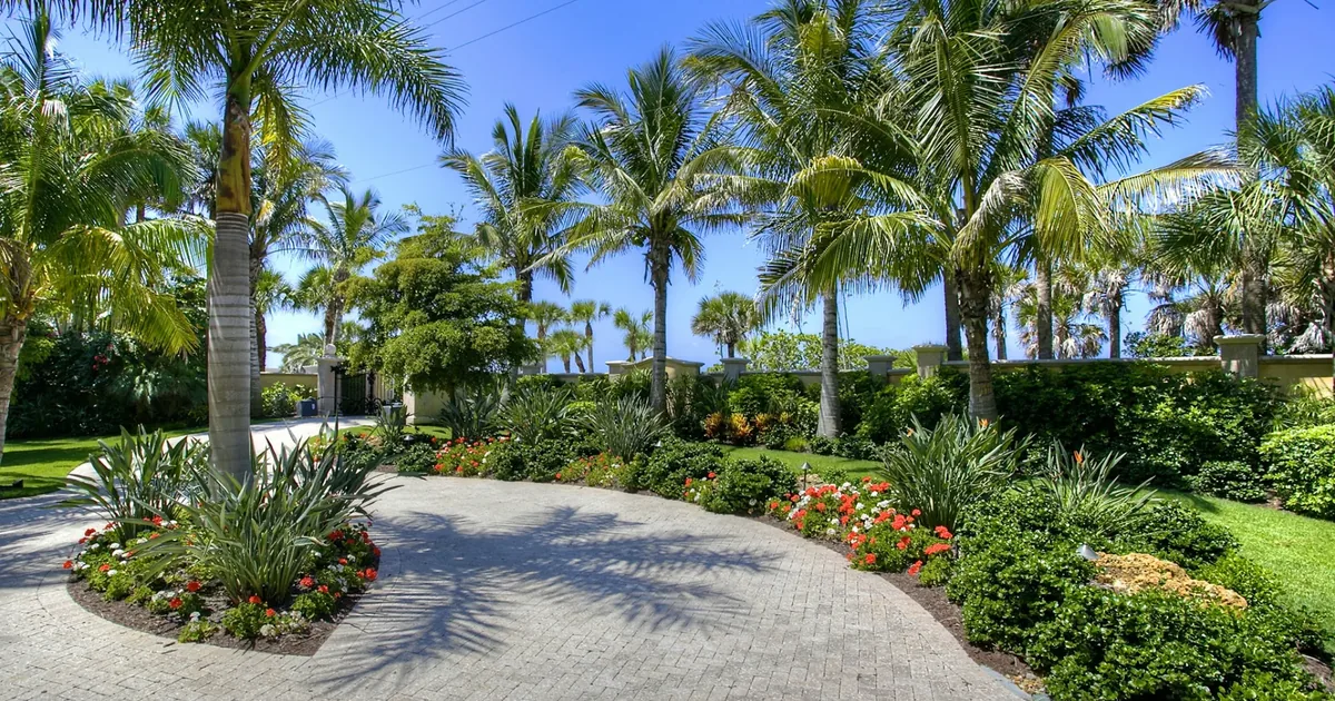 Tree Service Naples & Fort Myers | Elite Tree Service