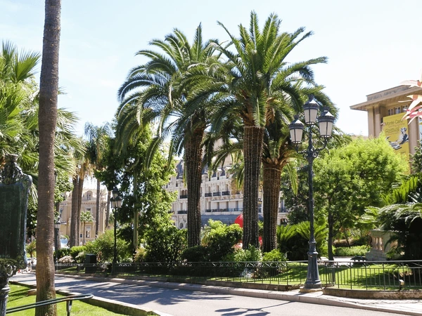 Palm-lined streetscape in a clean, maintained landscape