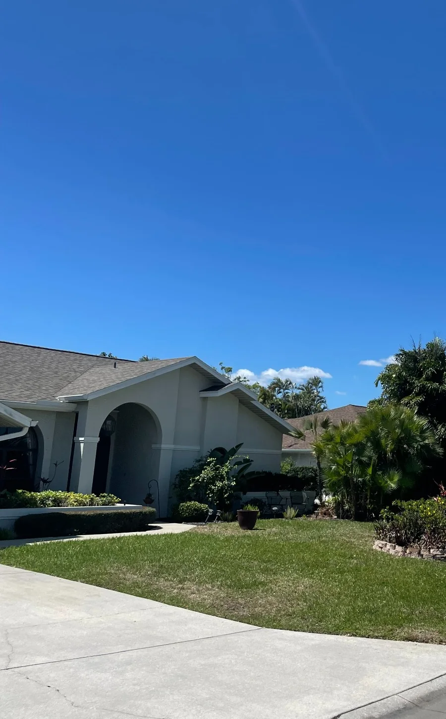 After tree removal at the same Naples property with the palm removed and the yard cleaned up
