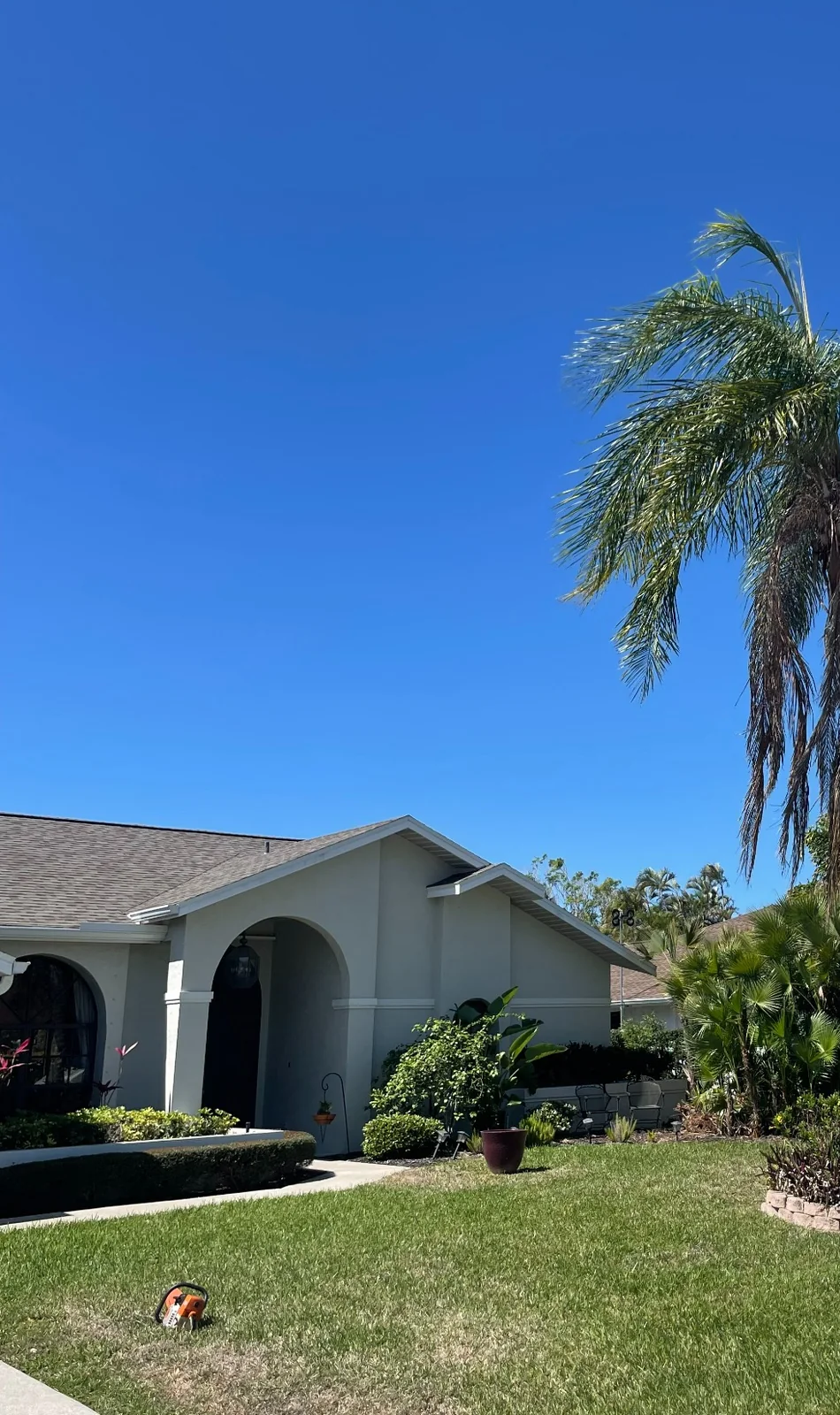 Before tree removal at a Naples property with a tall declining palm in the front yard